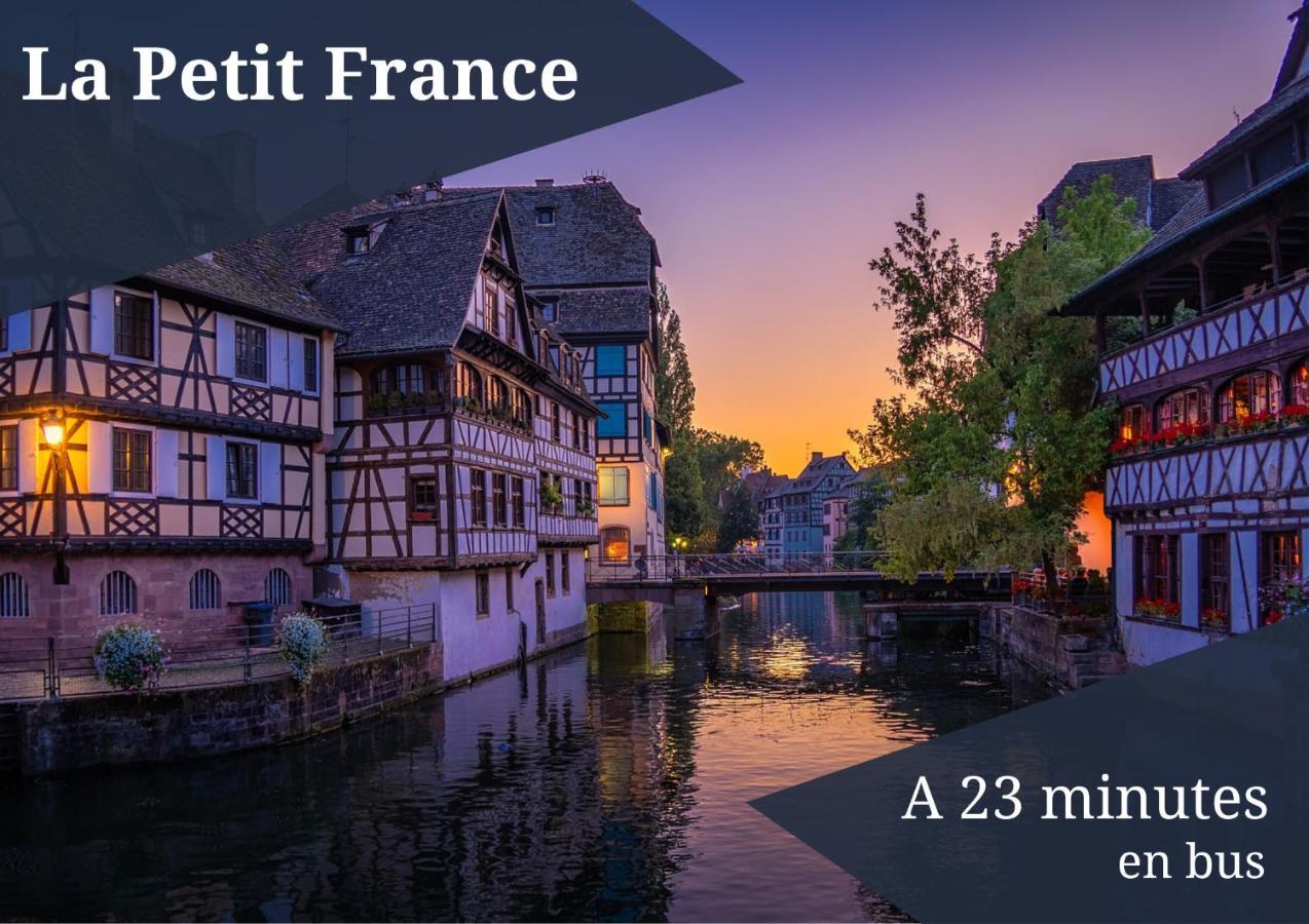 Le Reve Bleu - Golden Tree - Wifi - 15Min Centre Ville De Strasbourg Schiltigheim Exterior photo